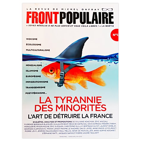 La Tyrannie des Minorités: L'art de Détruire la France