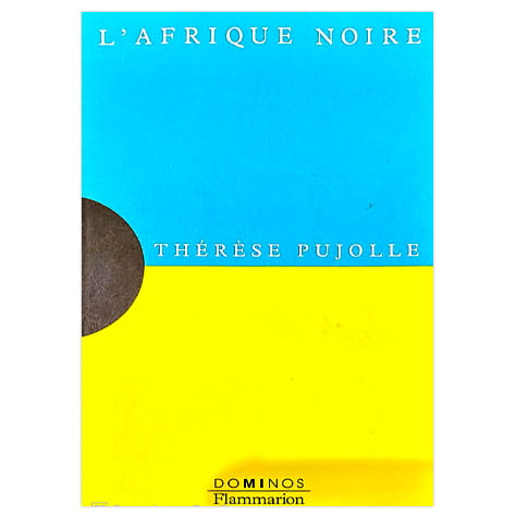 L'Afrique Noire : Un exposé pour comprendre, un essai pour réfléchir